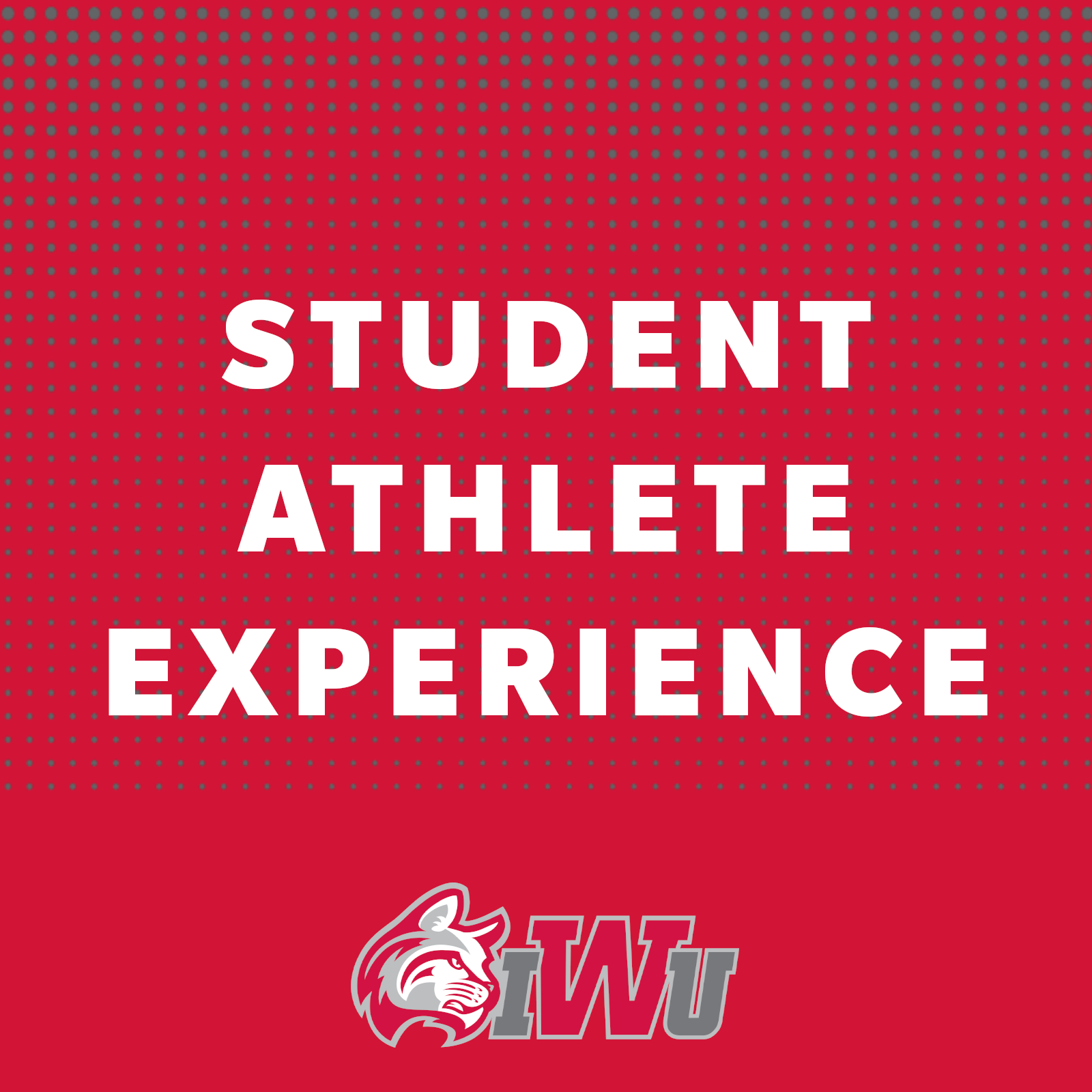 naia-student-athlete-experience-banquet-athletics-home