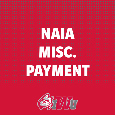NAIA Miscellaneous Payment NAIA Miscellaneous Payment