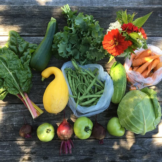 Half Size Farm Box